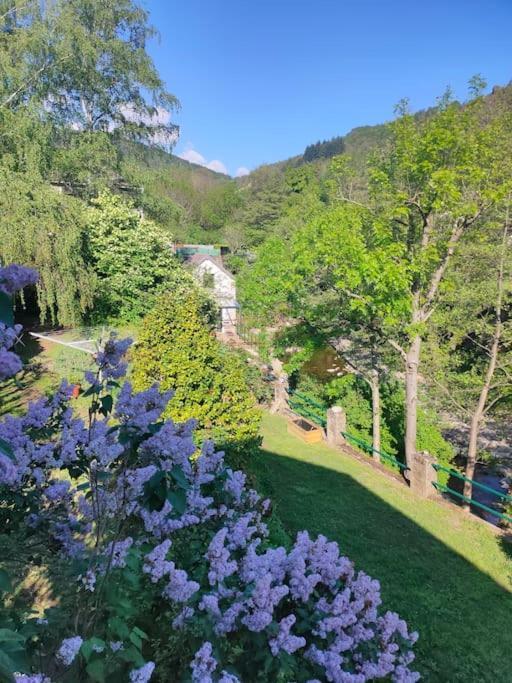Le Secret du Moulin, agréable tiny house Villefort Villefort  Exterior foto