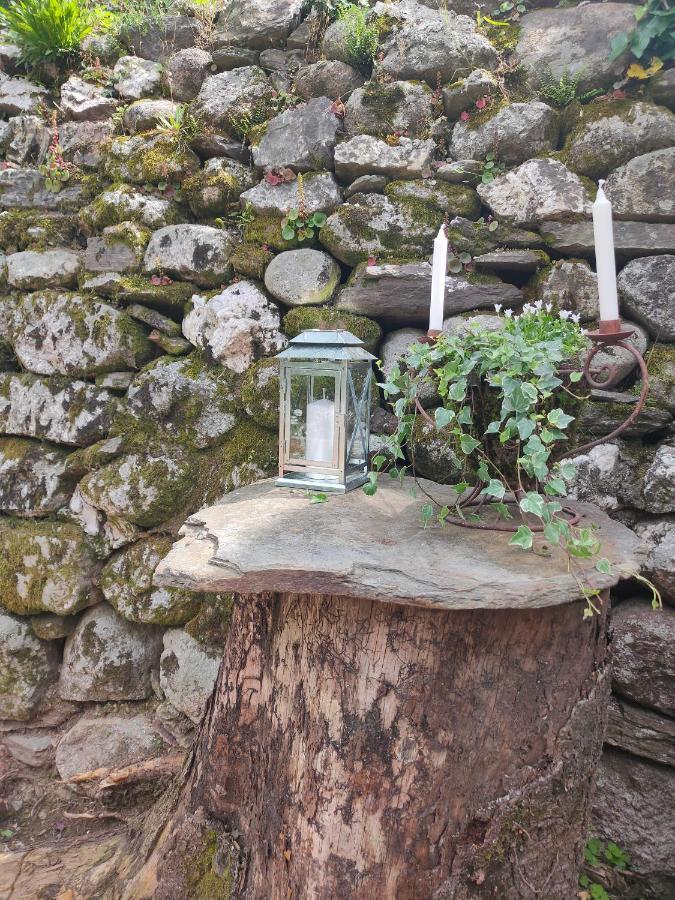 Le Secret du Moulin, agréable tiny house Villefort Villefort  Exterior foto